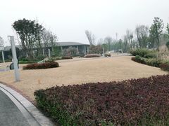 -桤木河湿地公园