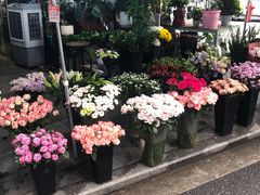 -循礼门鲜花花市(武汉循礼门店)