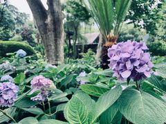 -静安公园(静安寺街道)