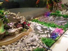 -银鲨海鲜烤肉火锅自助餐厅(五星店)