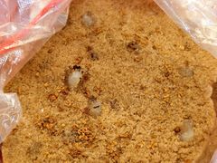 -矮人松糕(小南店)