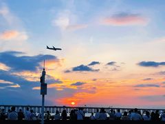 -宝安西湾红树林湿地公园