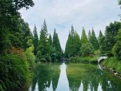 -东平国家森林公园