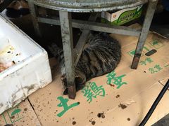 -周记热干面豆皮大王(桃花东街店)