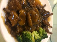 -九花山烤鸭店