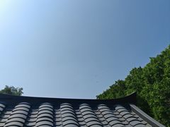 -大湾区中央湿地公园