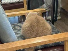 -Double cafe