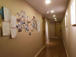 -海豚湾高端月子会所(黄浦店)