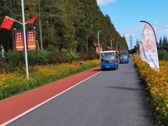 -上海长兴岛郊野公园