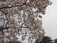 -南京晨光1865创意产业园