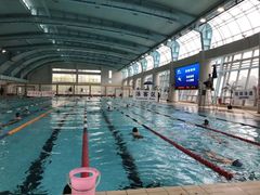 -小海豚国际游泳培训中心(浦东源深体育中心店)