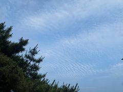 -青岛海滨风景区小鱼山