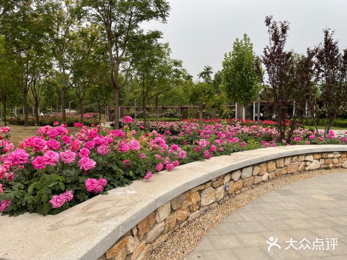 坝河休闲公园图片