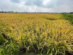 -中国天府农业博览园