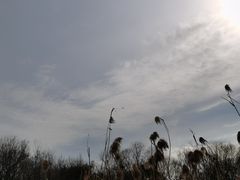 -西湖风景区-江洋畈生态公园