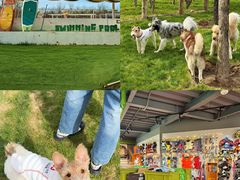 -爪吧宠物乐园 (温榆河示范区店)