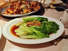 -眉州东坡(清华园店)