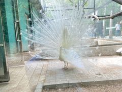 -长白岛森林公园