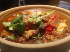 -洞庭家宴·头牌甲鱼(广渠门店)