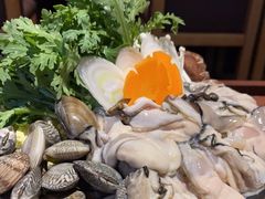 -九州酒场ひこぞう(1号店)