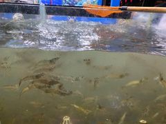 -七鲜渔港美食餐厅(巽寮湾海景店)