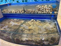水产区-乔哥铭洋海鲜自助(皇城恒隆广场店)