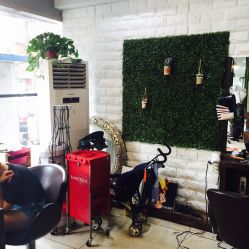 -红人馆造型十添