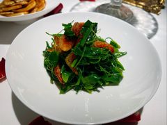 野菜拌樱花虾-西郊5号·Maggie 5