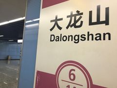 -大龙山(地铁站)