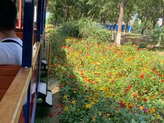 -永定河休闲森林公园