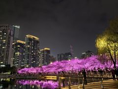 -西北湖绿化广场