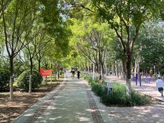 -南翠屏公园