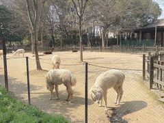 -南昌动物园