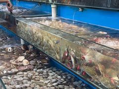 -港畔赶海蒸汽海鲜烧烤自助(仙螺岛店)