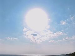 -贡湖湾湿地公园