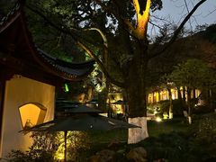 -十八棵（老龙井）御茶园(老龙井店)