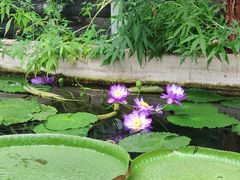 -国家植物园南园