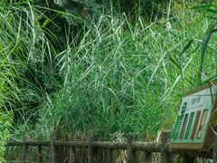 -成都市活水公园