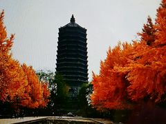 -玲珑塔公园