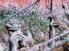 -潭柘寺景区