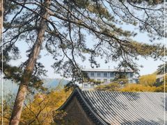 -妙峰山风景名胜区