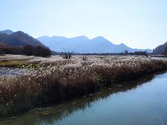 -大九湖