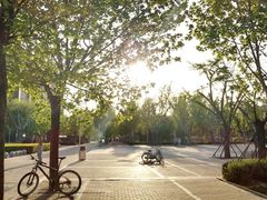 -河南财经政法大学(郑东校区)
