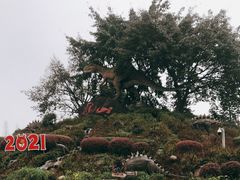 -自贡恐龙博物馆