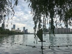 -天鹅湖体育公园