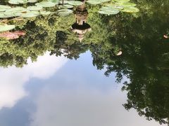 -昆山城市生态森林公园