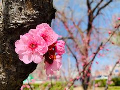 -元大都城垣遗址公园