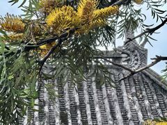 -郑和公园
