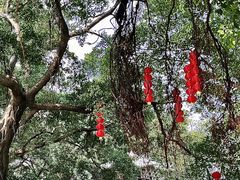 -荔湾湖公园