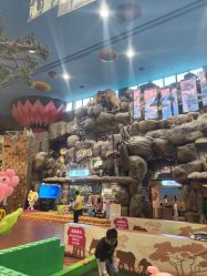 -卡通尼·Safari非洲探索乐园·生日会(金桥国际商业广场店)